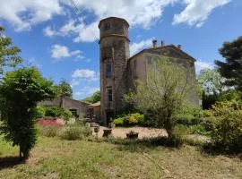 Château Saint-Martin