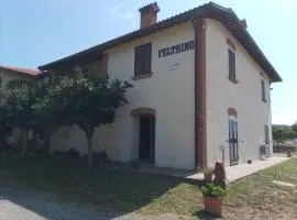 Podere Feltrino