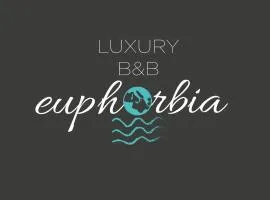 Luxury B&b Euphorbia