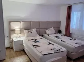 Apartman Živković