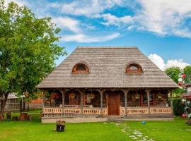 Casa din Susani, hotel en Călineşti