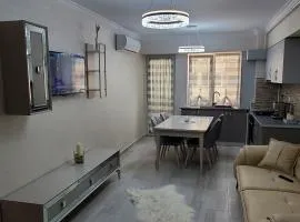 Luxury Apartament Bacovia