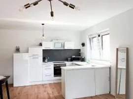 2 ZKB Apartment in Mannheim Küche - Parken - Großer TV