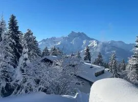 Villars Alpine Heaven - Ski In