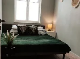 Apartament 17