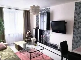 Apartmán v centre mesta Žilina