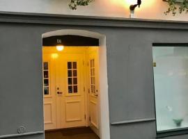 Lilla Drottninggatan Apartment Hotel，赫爾辛堡的飯店