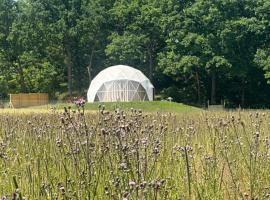 Karkonoski Glamping, шале у місті Ломніца