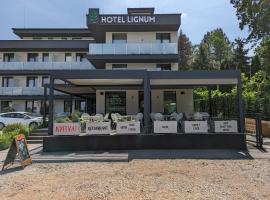 Lignum Hotel, hotel in Miskolctapolca