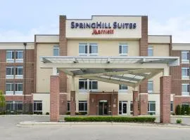 Springhill Suites by Marriott Detroit Metro Airport Romulus