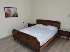 2 Bedroom house in center of Tirana (parking)