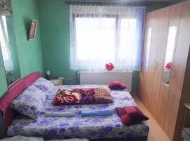 Apartman Milica