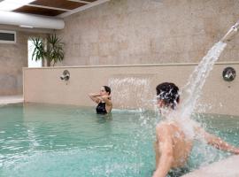 Termas de Sao Pedro do Sul में Hotel Do Parque - Congress & SPA, फ़ैमिली होटल