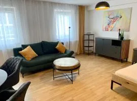 STPOELTEN-VERMIETUNG Air-conditioned, quiet apartment with a terrace in center of St Pölten - Smart TV