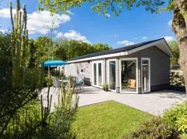 Modern chalet in Park De Veluwe