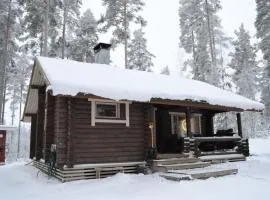 Unique winter holiday in pine forest