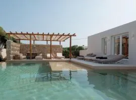 Mikri Santa Maria Beachvilla Pool Paros