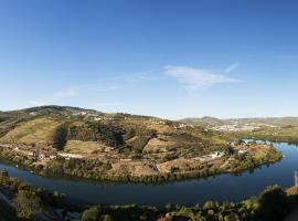 Delfim Douro Hotel, hotell i Lamego