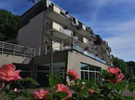 Résidence Orbey Alsace apartment with balcony