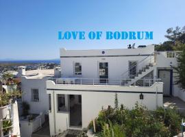 Love of Bodrum House, alojamiento con cocina en Bodrum