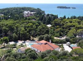 Villa Salteria 3, pool, private territory, pinery, отель в Ровине