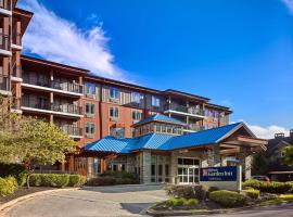 Hilton Garden Inn Gatlinburg, hotel u gradu 'Gatlinburg'