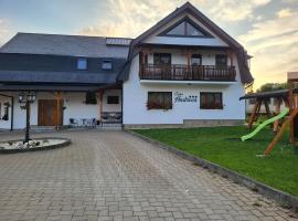 Casa Andreea – hotel w mieście Vatra Dornei