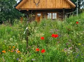 Blockhaus PanHütte