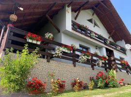 Casa Maria, hotel in Piatra Fantanele