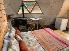 Nomade Patagonia Glamping & Domos, kempingas mieste Trevelinas