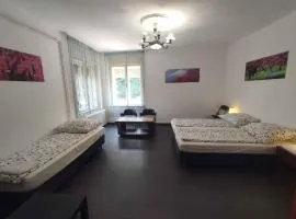 Apartment in Balatonalmadi 45314