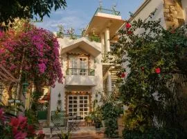 Shree Nikunj - A Luxury Boutique Homestay in Jaipur