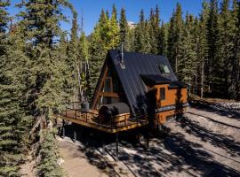 New Modern Rustic A-Frame Cabin with Barrel Sauna, Hotel in Nordegg