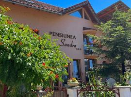 Pensiunea Sandra, hotel em Ocna Şugatag