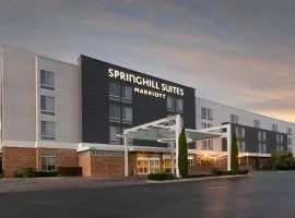 SpringHill Suites by Marriott San Angelo