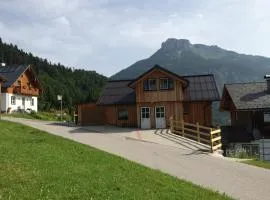 Apartment Altaussee