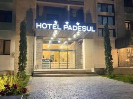 Hotel Padesul, hotel en Făget