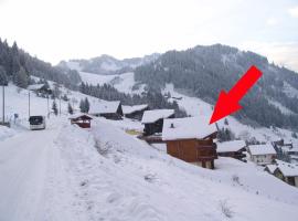 Modern apartment in Chatel with fantastic views: Châtel şehrinde bir otel