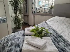 Apartament Pod Orzechem