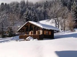 Chalet 3* cosy aux Gets, Wi-Fi, 450m télécabine, 2 chambres, parking privé, balcon sud/est - FR-1-671-40