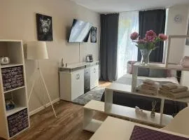 Business Appartement in Mainz Bretzenheim