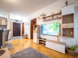 Lux Apartmani Rakić, hotel din Pirot