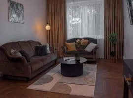 Historical City Center Apartment Zalgiris Arena