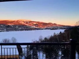 Magnifique VUE LAC et SKI