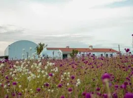 Monte de Palma- Quinta Biodinâmica Momentos Únicos