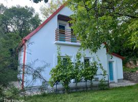 Quiet, green, relaxing place - 3 bedroom villa, hotel u gradu Balatonfured