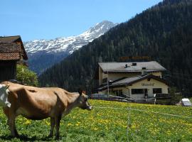 Hotel Restaurant Walserhof, hotel u gradu Medels im Rheinwald