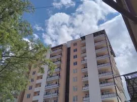 Meskheti Tower Unit 93