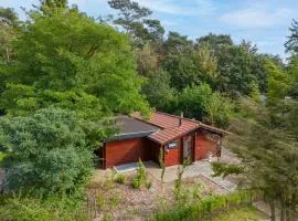 Spacious wooden cottage with infra-red sauna at Veluwe