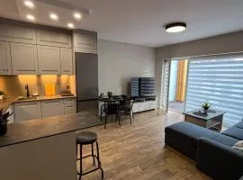 Apartament Lublin Centrum "Singapura cat"